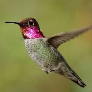 Meet your Posher, Norma